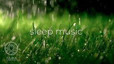 Reiki Sleep & Rain Sounds: Reiki Music, Healing Music, Balancing Meditation Music Reiki Music, Meditation Scripts, Healing Music, Yoga Music, Healing Modalities, Meditation Techniques, Music Heals