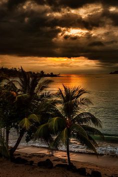 the sun is setting over the ocean with palm trees on the beach and dark clouds in the sky