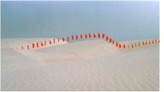 there are many red and white poles in the sand