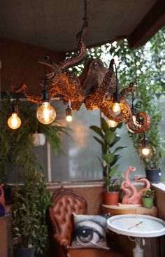 a room filled with lots of plants and hanging lights