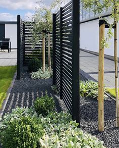 an outdoor garden with black fence and green plants