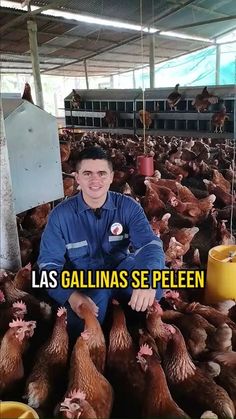 a man sitting on top of a pile of chickens in a building with words above it