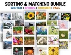 a collage of photos with the words sorting and matching bundle winter spring fall on it