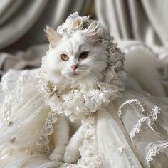 a white cat wearing a wedding dress and tiara