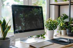 a desktop computer sitting on top of a wooden desk next to a potted plant