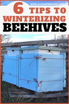 an ice chest sitting in the grass with text overlay reading 6 tips to winterizing beehives