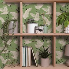 shelves with plants and books on them in front of a green wallpapered background