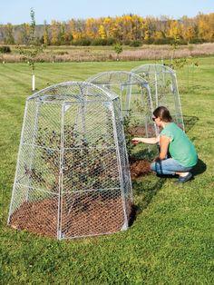 a woman kneeling down next to a tree in a caged area with other trees