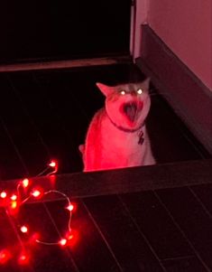 a cat with its mouth open sitting on the floor next to some christmas lights in front of it