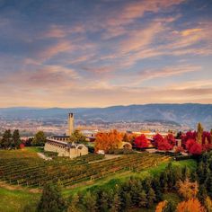 an aerial view of a vineyard in autumn with colorful trees and mountains in the background