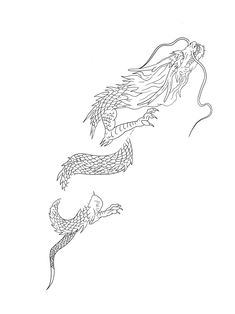 a drawing of two dragon flying in the sky