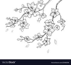 black and white drawing of an apple blossom branch with leaves on a white background, hand drawn illustration