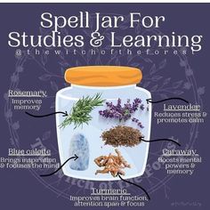 @mysticwitchofthemoon on Instagram: "Spelljar for learning and studies by @thewitchoftheforest I would seal with white or yellow wax and keep on your altar or wherever you feel you need it! . . . . #wiccansofinstagram #witchlife #witchesofinstagram #witch #witchcraft #wicca #wiccan #pagan #spiritual #spiritualawakening #Spirituality #witchessociety #witchytips #magic #babywitch #beginnerwitch #spelljar" Work Spell Jar, Memory Spell Jar, Study Spell Jar, Fertility Spell Jar, Money Jar Spell, Money Candle Spell, Spell Bottles, Lunar Witch