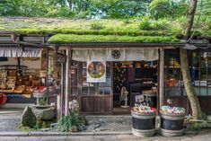 an outdoor store with lots of plants on the roof