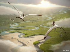 two white birds flying over a lush green field next to a river in the sky