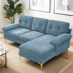 a blue couch sitting on top of a hard wood floor