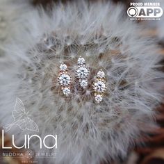 three small diamond studs on top of a dandelion flower with the caption lunaa