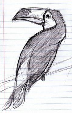 a drawing of a toucan sitting on top of a piece of lined paper