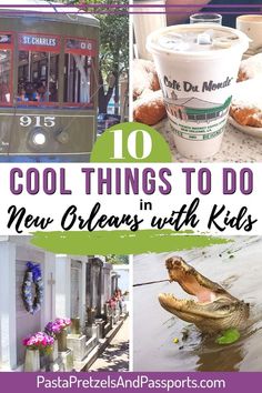 collage of different things to do in new orleans with kids