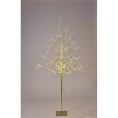 a lighted tree with white lights on it