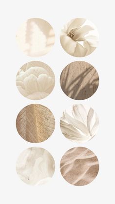 six different shapes and sizes of flowers on a white background with shadows from the petals