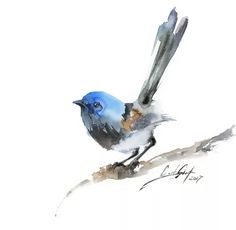 a watercolor painting of a blue bird sitting on a branch with its wings spread