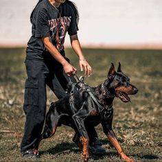 a woman in black shirt holding on to a brown and black dog's leash