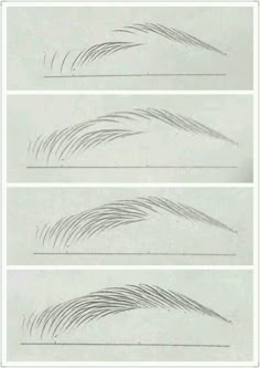 three different types of hair drawn in pencil