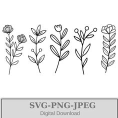 svg - png - jpeg digital floral clipart