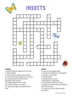 an insect crossword with the words insects