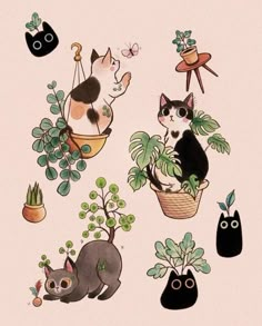 an image of cats and plants in pots