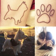 four different pictures of dogs with their paw prints on the left and right side of their legs