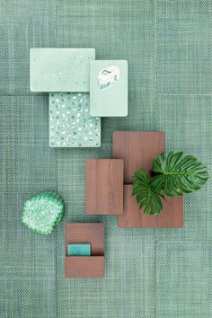 an overhead view of a table with green plants and other items on it, including a planter