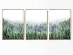 three paintings hanging on the wall in front of a white wall with trees and fog