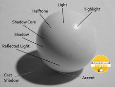 the parts of a white ball on a table