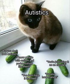 a cat sitting on top of a window sill next to cucumber's