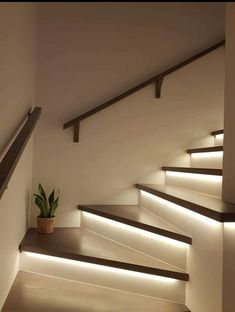 some stairs with lights on them and a potted plant