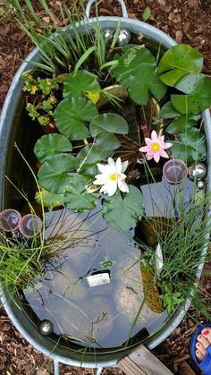 a metal pot filled with water plants and flowers