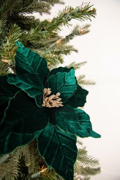 a close up of a christmas tree with green leaves