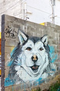 graffiti on the side of a building with a dog's face