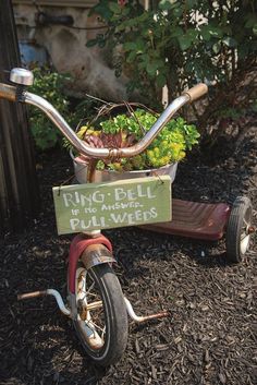 an old tricycle with a planter on the back wheel and a sign that says ring bell flowers