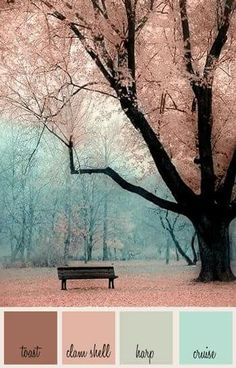 a bench sitting under a tree in the middle of a park