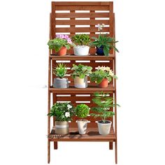 a wooden shelf filled with potted plants