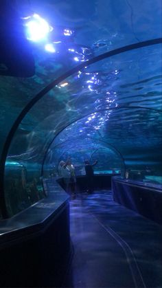 people are standing in an aquarium looking at the water and light from inside it,