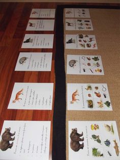 several animal cards are laid out on the floor to be used as placemats