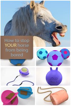 the collage shows different types of horse toys