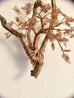 a wire sculpture of a tree with leaves and branches on it's side, in front of a white wall