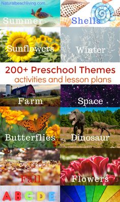 the book cover for 200 + preschool themes activities and lesson plans, including sunflowers