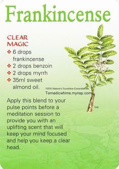 Essential Oil Remedy, Oil Remedies, Magic Herbs, Essential Oils Herbs, Frankincense Oil, Herbal Healing, Herbal Magic, Healing Oils, Young Living Oils