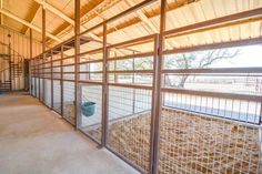 the inside of an animal pen with metal bars and caged in animals on either side